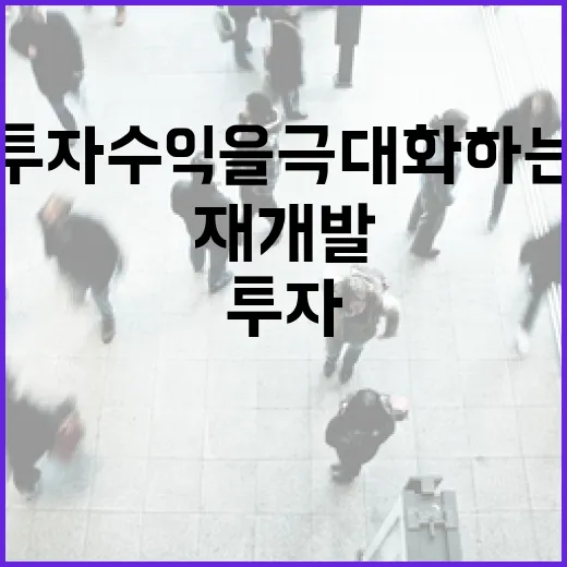 재개발로 투자 수익을 극대화하는 방법 - 요약