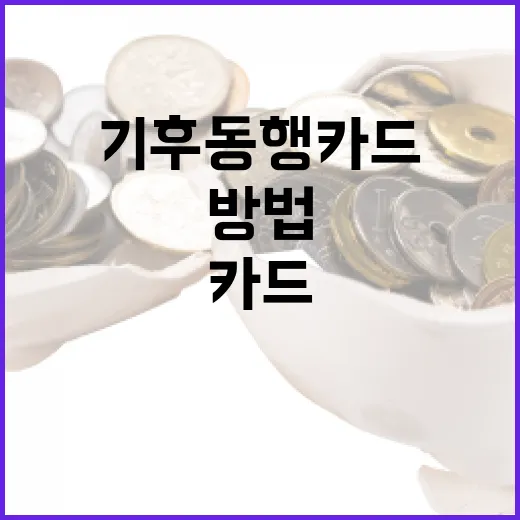 기후동행카드를 활용하여 부동산 투자에서 성공하는 방법 - 요약