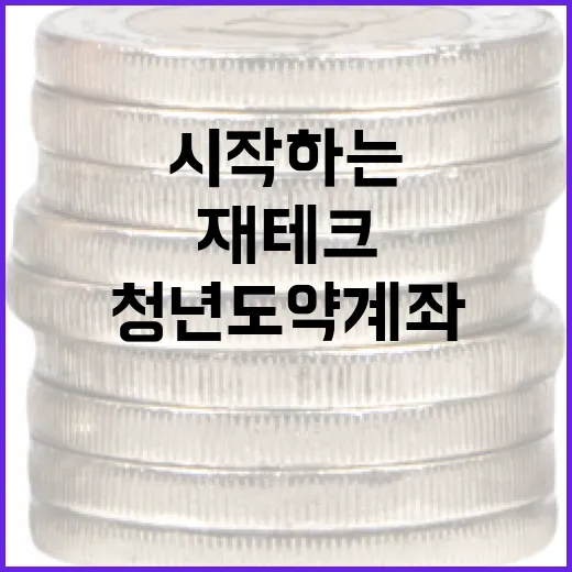 청년도약계좌로 재테크 시작하는 방법 - 요약