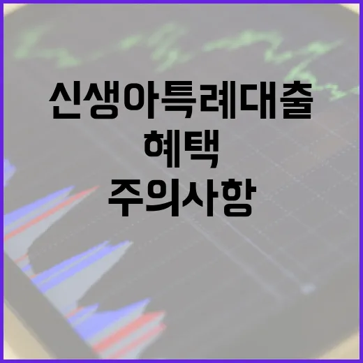 신생아 특례대출을 받는 방법: 혜택과 주의사항 - 요약
