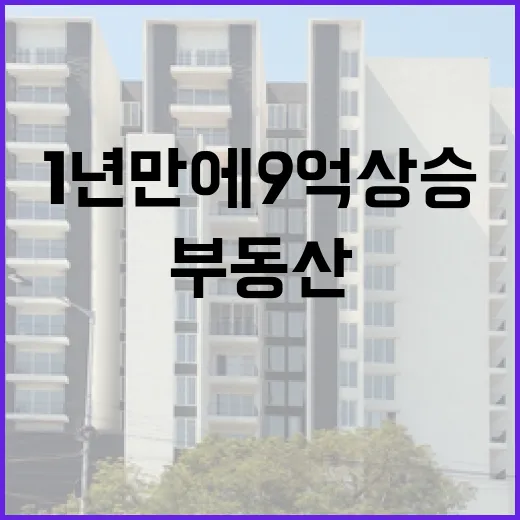 1년 만에 9억 상승한 부동산, 그 비결은? - 요약