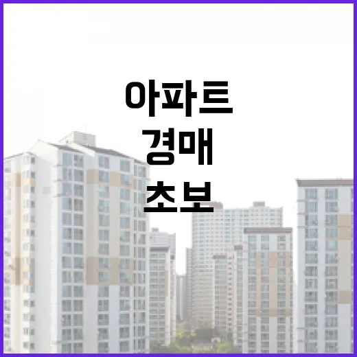 대법원경매로 아파트 한 건 따라가 봤더니 초보가 놓치기 쉬운 게 보였습니다 - 요약