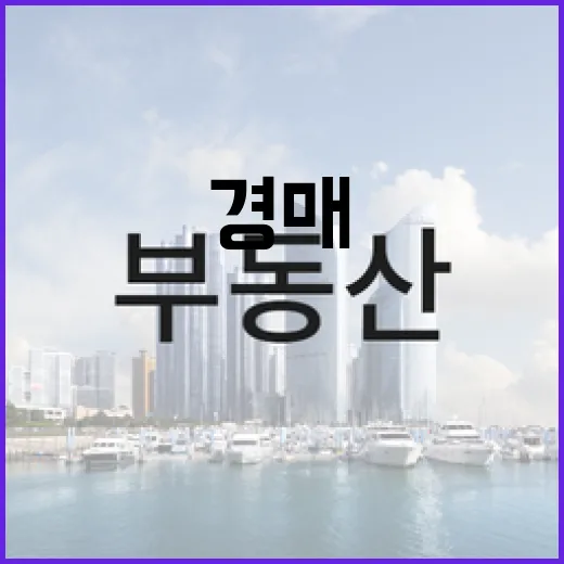 법원경매 입찰장 10년 다녀봤더니 초보가 돈 잃는 지점은 따로 있더라 - 요약