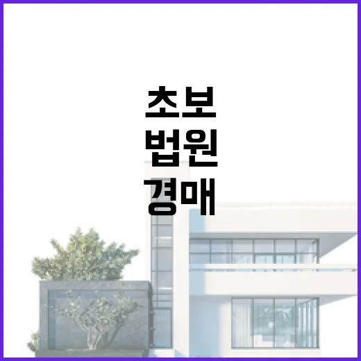 법원경매 입찰장에 10년 다녀봤더니 초보가 돈 잃는 순간은 따로 있었습니다 - 요약