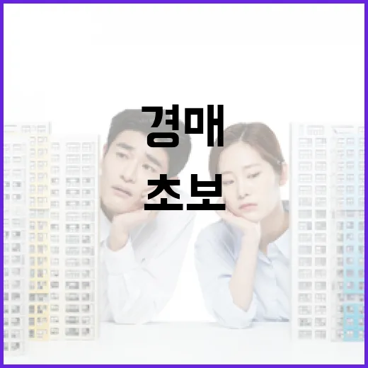 법원경매 입찰장에 10년 다녀봤더니, 초보가 잃는 돈은 이미 서류에서 보였습니다 - 요약