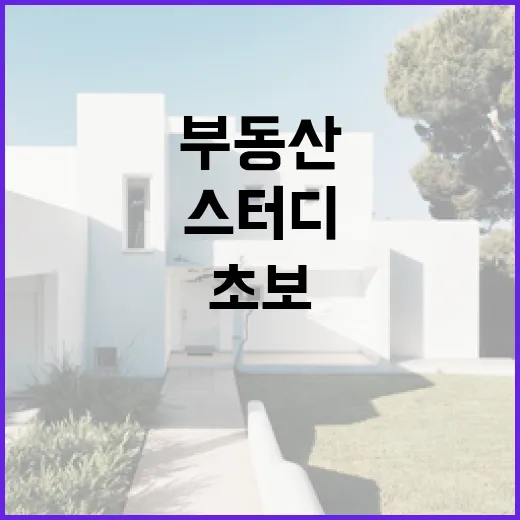 부동산스터디 6개월 직접 굴려봤더니 초보가 제일 먼저 바뀐 지점 - 요약