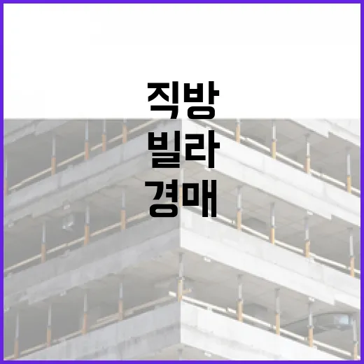 직방만 믿고 빌라 경매 들어갔다가 현장에서 계산 다시 한 이야기 - 요약