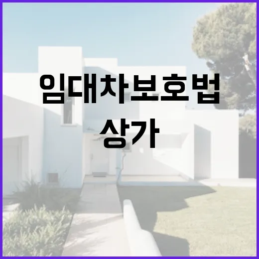경매 상가 낙찰받고 상가임대차보호법 때문에 잔금 전날 식은땀 난 이야기 - 요약