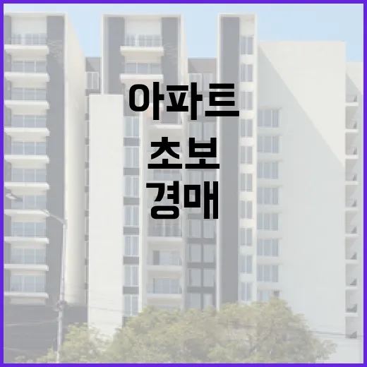 아파트경매 입찰장에 10년 다녀봤더니, 초보가 돈 잃는 패턴은 비슷했습니다 - 요약