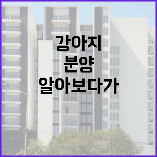 강아지무료분양 직접 알아보다가 비용표부터 다시 본 이야기 - 요약