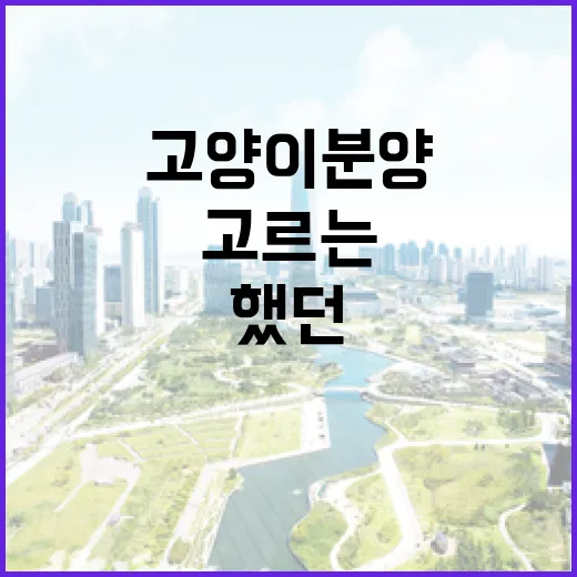 고양이분양 받아보니 집 고르는 눈보다 더 꼼꼼해야 했던 이야기 - 요약