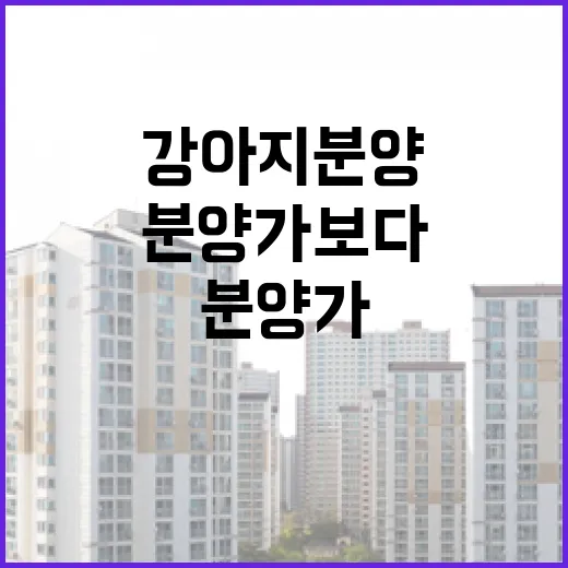 강아지분양 직접 알아봤더니, 분양가보다 먼저 봐야 할 게 있었습니다 - 요약