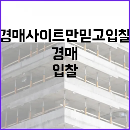 경매사이트만 믿고 입찰했다가 현장에서 식은땀 난 이야기 - 요약