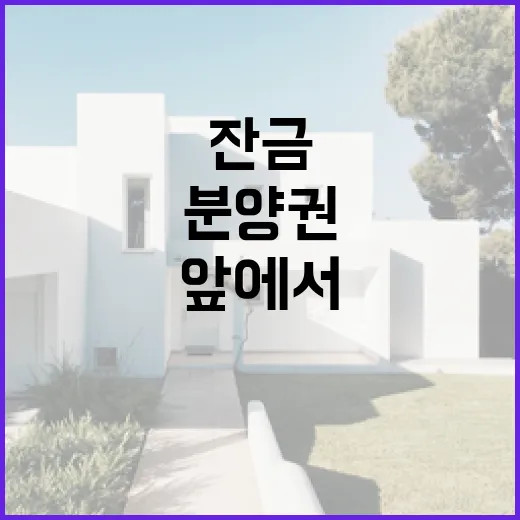 분양권만 믿고 들어갔다가 잔금 앞에서 식은땀 흘린 이야기 - 요약