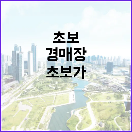 법원 경매장 10년 다녀보니 초보가 먼저 걸러야 할 물건이 보였습니다 - 요약