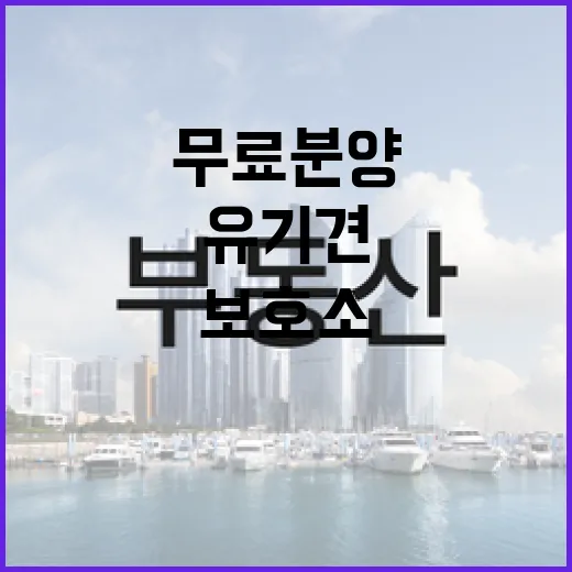 유기견무료분양 알아보다가 보호소까지 직접 가본 진짜 이야기 - 요약
