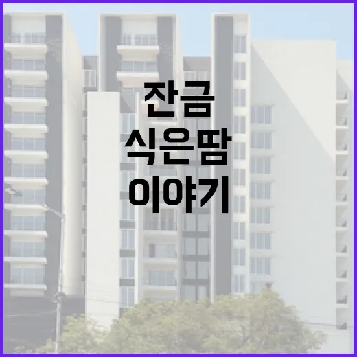 부동산계산기만 믿고 입찰했다가 잔금 앞에서 식은땀 난 이야기 - 요약