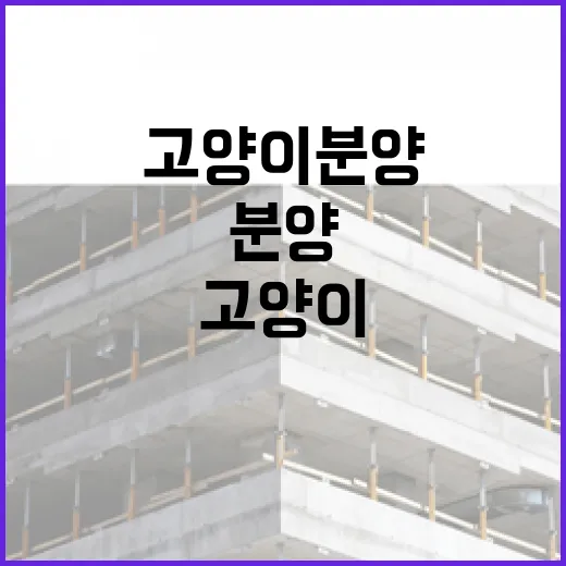 고양이분양 직접 알아보다가 계약서에서 멈칫했던 진짜 이야기 - 요약