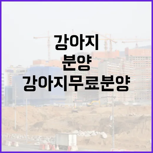 강아지무료분양 글만 믿고 움직였다가 놓치기 쉬운 진짜 비용 이야기 - 요약