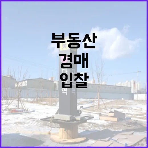 KB부동산만 믿고 경매 입찰했다가 현장에서 식은땀 난 이야기 - 요약