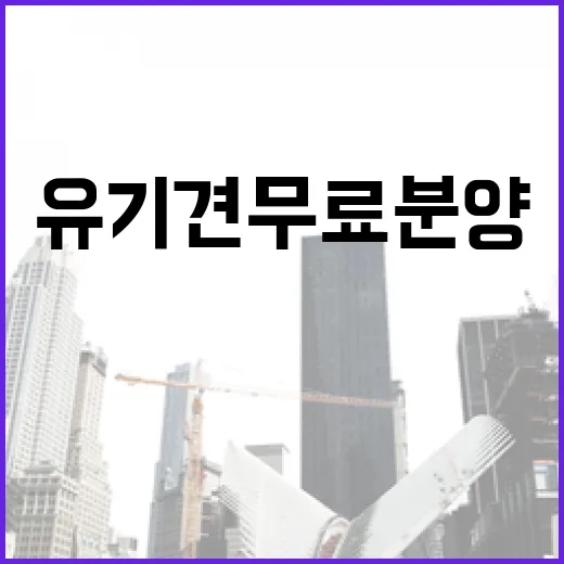 유기견무료분양 직접 알아봤더니, 공짜보다 먼저 봐야 할 비용이 있었습니다 - 요약