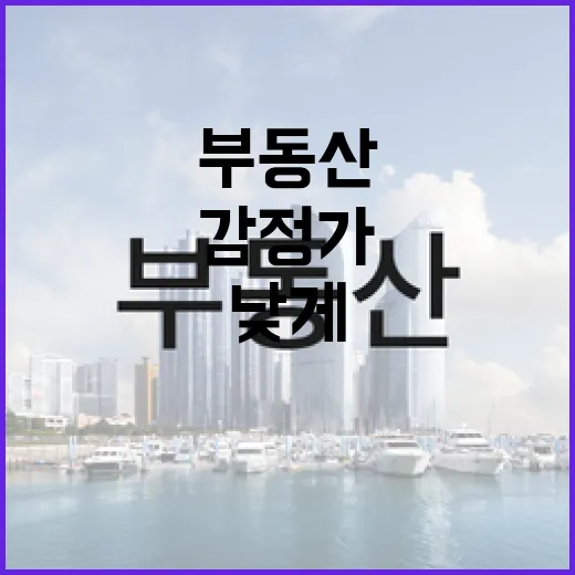 부동산시세 직접 찍어봤더니, 감정가보다 7천 낮게 봐야 했던 이야기 - 요약