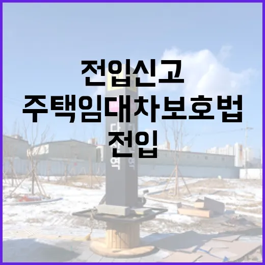 전입신고 하루 차이로 배당표가 갈린 주택임대차보호법 현장 이야기 - 요약
