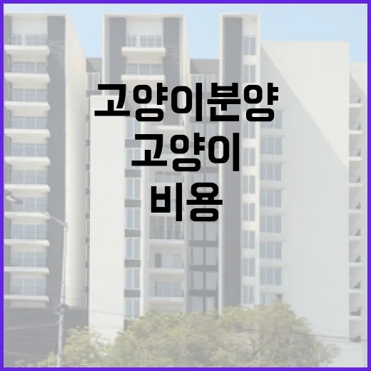 고양이분양 알아보다가 계약서부터 비용까지 직접 따져본 이야기 - 요약