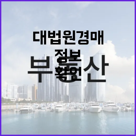 대법원경매정보만 믿고 입찰했다가 현장에서 다시 확인한 이야기 - 요약