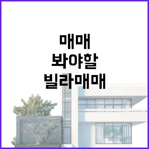 빌라매매 직접 뛰어보니, 싸게 보이는 집일수록 먼저 봐야 할 것들 - 요약