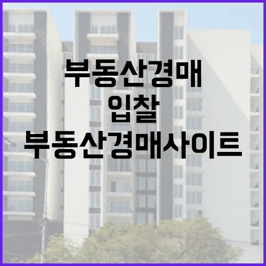 부동산경매사이트만 믿고 입찰했다가 현장에서 식은땀 난 이야기 - 요약
