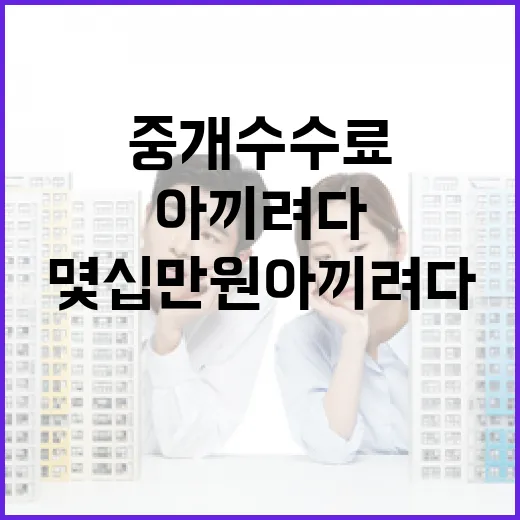 중개수수료 몇십만 원 아끼려다 계약서에서 피 봤던 이야기 - 요약