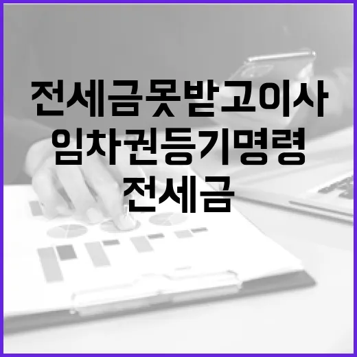 전세금 못 받고 이사 간 임차권등기명령 물건, 경매장에서 직접 보니 달랐습니다 - 요약