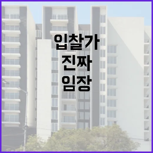 호갱노노만 믿고 임장 갔다가, 입찰가 3천만 원 낮춘 진짜 이야기 - 요약