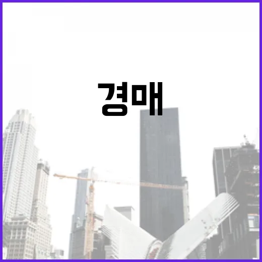 대법원경매로 첫 입찰 들어가 봤더니, 화면에 안 보이던 돈이 보였습니다 - 요약