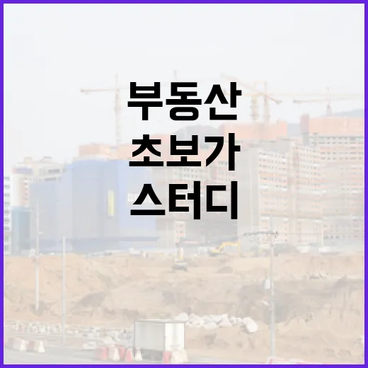 부동산스터디 6개월 따라다녀봤더니 초보가 돈 잃는 지점이 보였습니다 - 요약