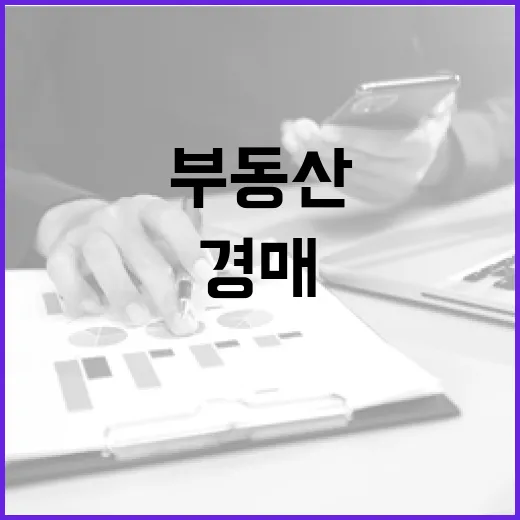 경매 입찰 전 부동산계산기만 믿고 들어갔다가 식은땀 난 이야기 - 요약