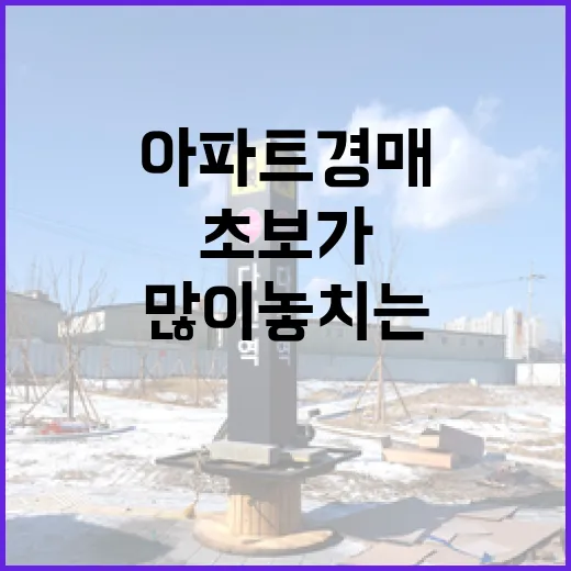 아파트경매 몇 번 낙찰받아보니 초보가 제일 많이 놓치는 것들 - 요약