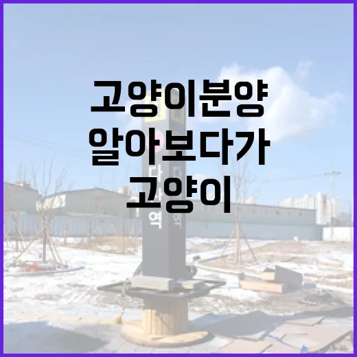 고양이분양 직접 알아보다가 계약서에서 멈칫했던 이야기 - 요약