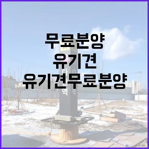 유기견무료분양 직접 알아봤더니, 무료보다 먼저 봐야 할 것들 - 요약