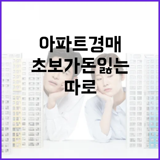 아파트 경매 직접 따라가 봤더니, 초보가 돈 잃는 지점은 따로 있었습니다 - 요약