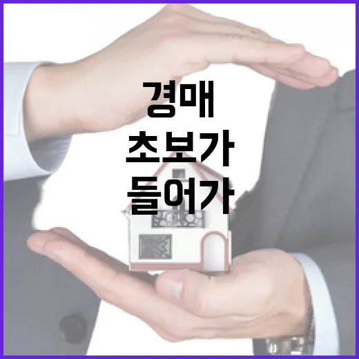 오피스텔 경매 몇 번 들어가봤더니, 초보가 싸다고 덤비면 다치는 이유 - 요약