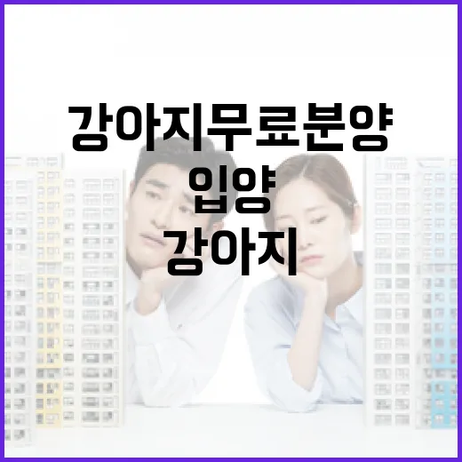 강아지무료분양 알아보다가 입양비보다 더 큰 비용을 먼저 계산해본 이야기 - 요약