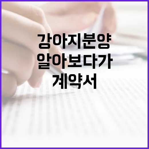 강아지분양 직접 알아보다가 계약서에서 멈춘 진짜 이유 - 요약