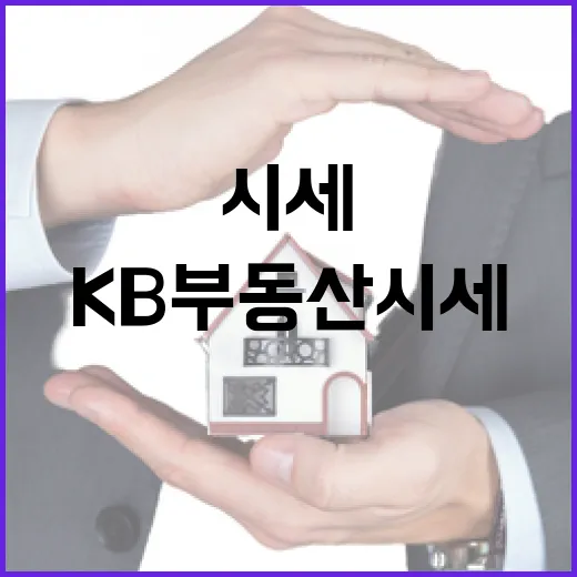 KB부동산 시세만 믿고 입찰했다가 현장에서 다시 계산해본 이야기 - 요약