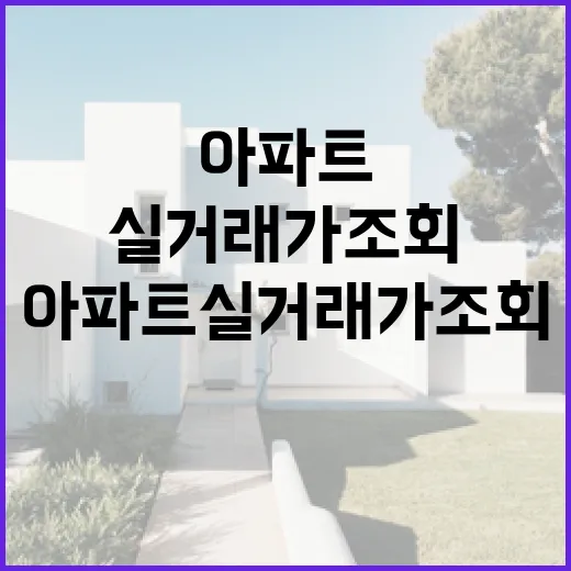 아파트실거래가조회만 믿고 입찰했다가 현장에서 식은땀 난 이야기 - 요약