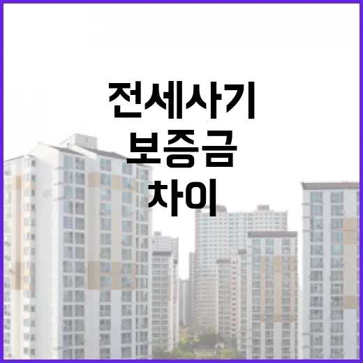 전세사기 물건을 경매장에서 직접 봤더니, 서류 한 장 차이가 보증금을 갈랐습니다 - 요약