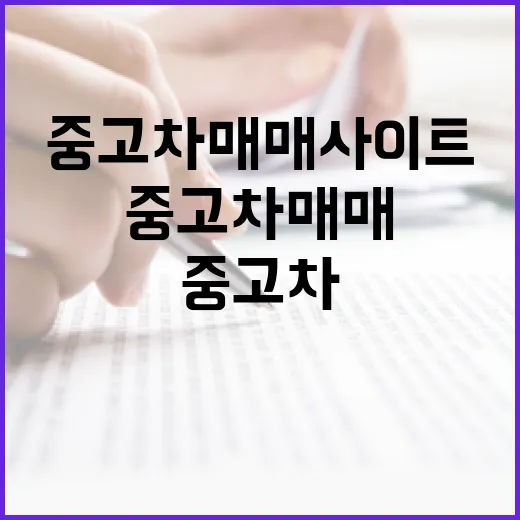 경매장 다니던 눈으로 중고차매매사이트 직접 뒤져봤더니 보이는 것들 - 요약