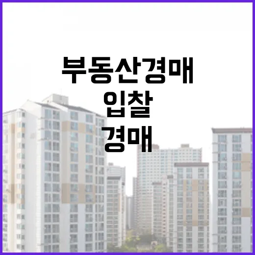 부동산경매사이트만 믿고 입찰했다가 보증금 날릴 뻔한 이야기 - 요약