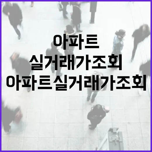 아파트실거래가조회만 믿고 입찰했다가 현장에서 식은땀 난 이야기 - 요약